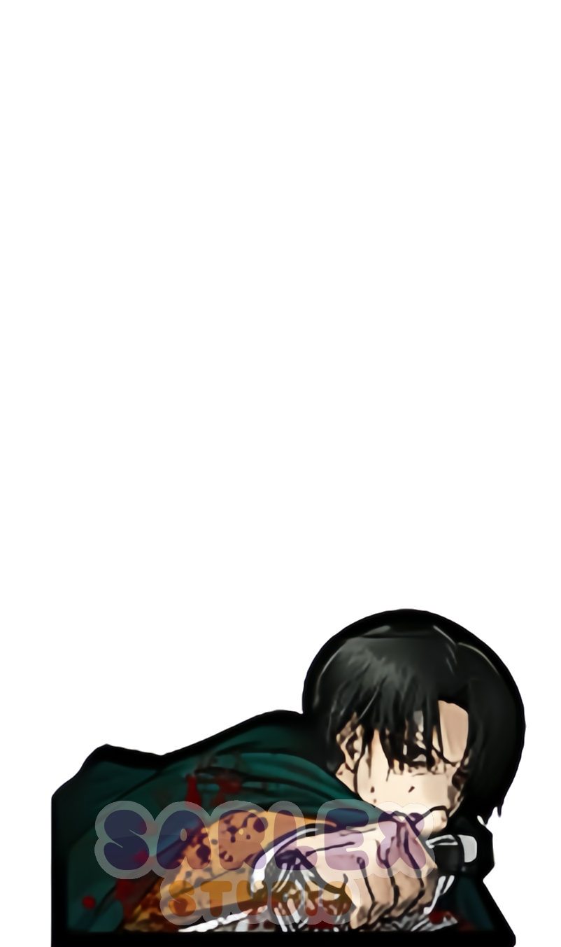 Levi