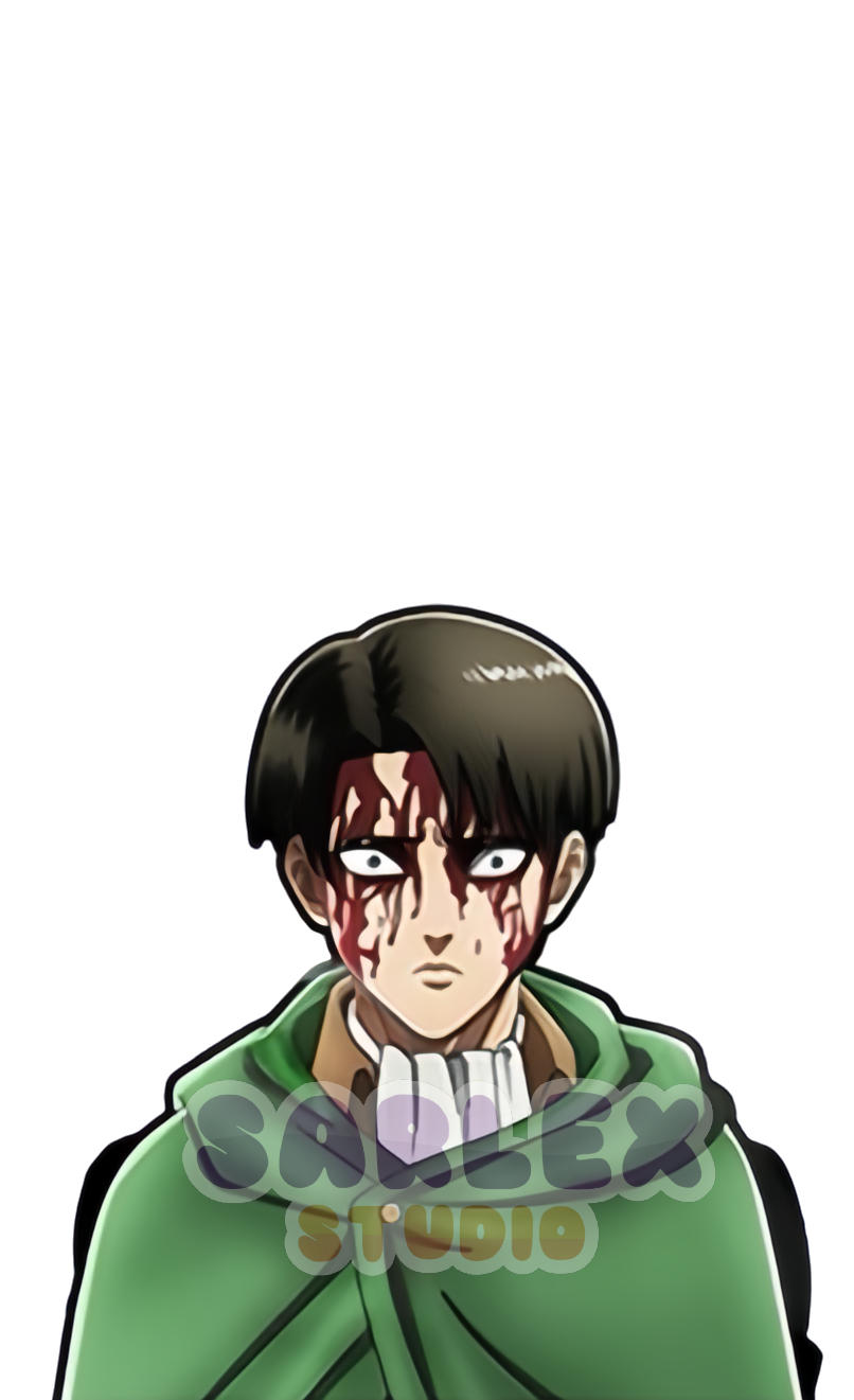 Levi v2