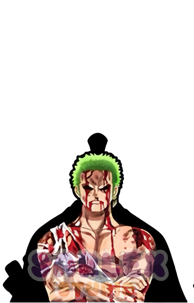 Zoro v2