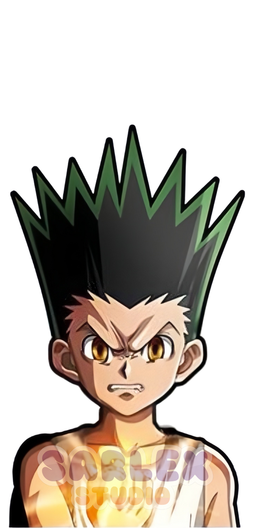 Gon v2