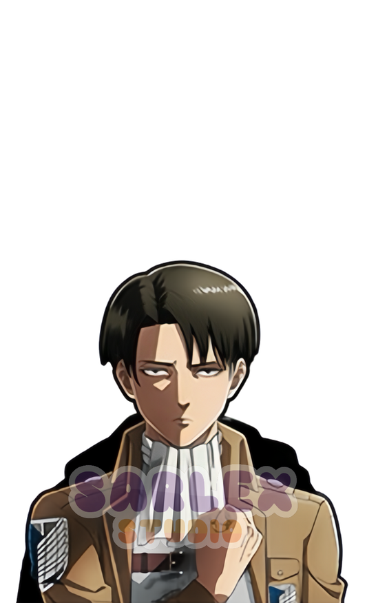 Levi v2