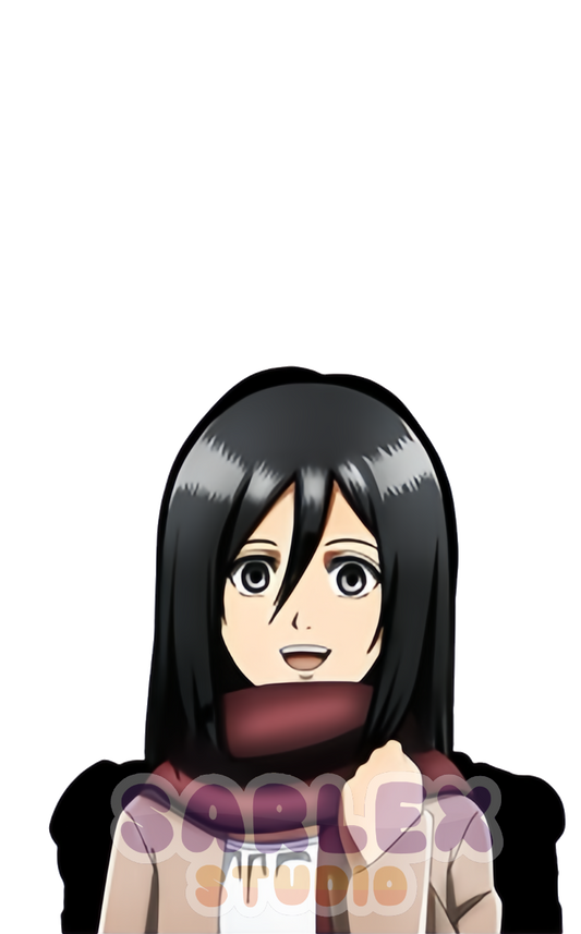 Mikasa